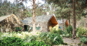 Wooden cabins in a forest setting